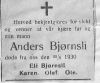Anders Olsen Bjørnsli